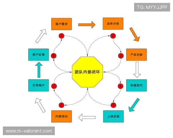 观众行为数据分析反哺内容策划，形成运营闭环